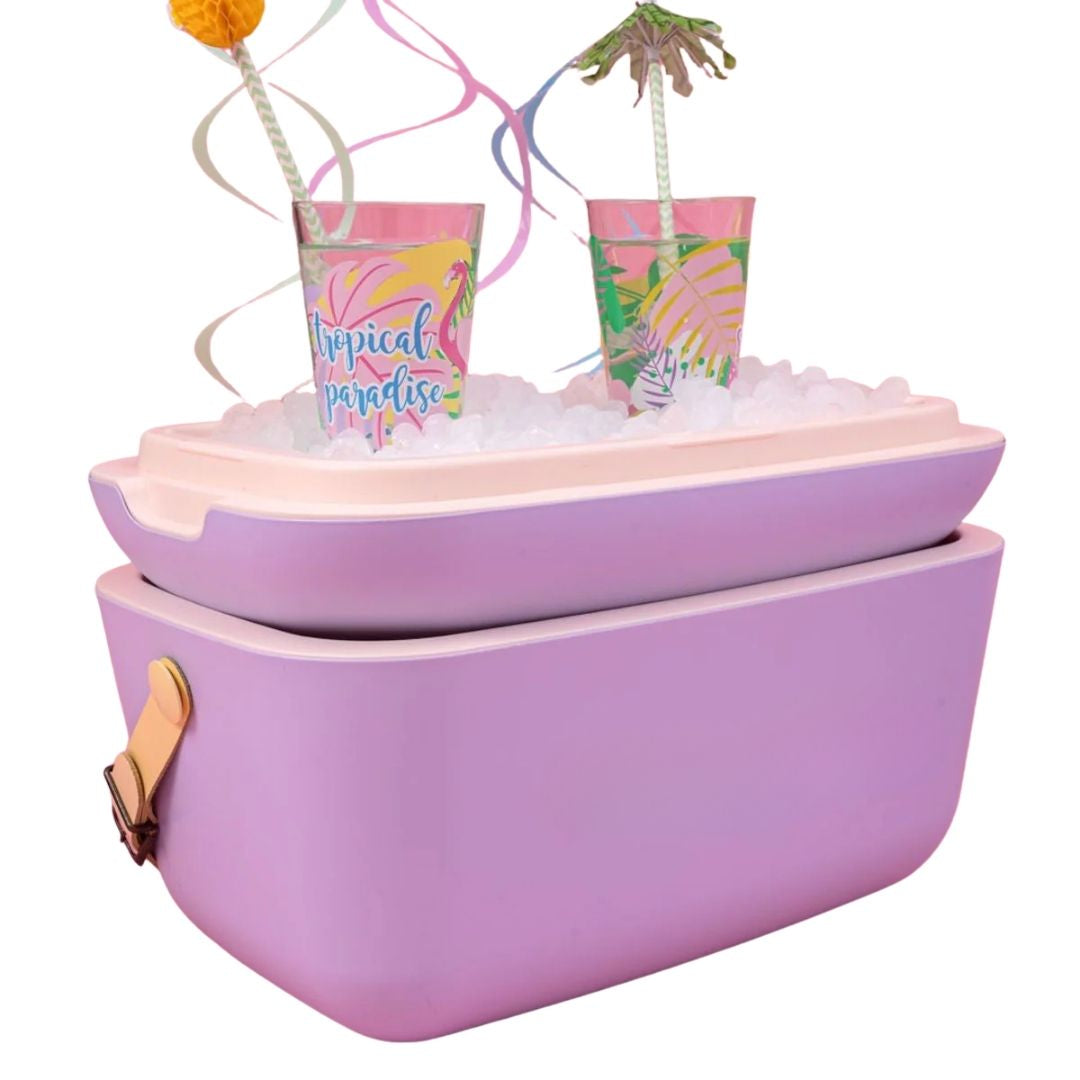 Portable Cooler Box with Leather Strap Handles - 20L