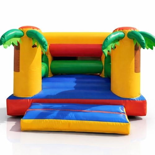Jumping Castle - Palm Castle