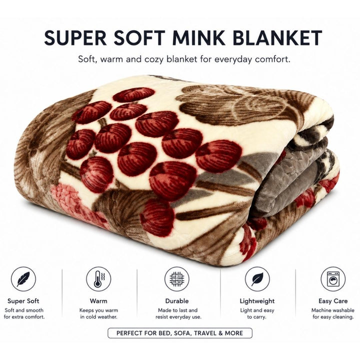 Blankets - Panda Soft Mink - Jumbo