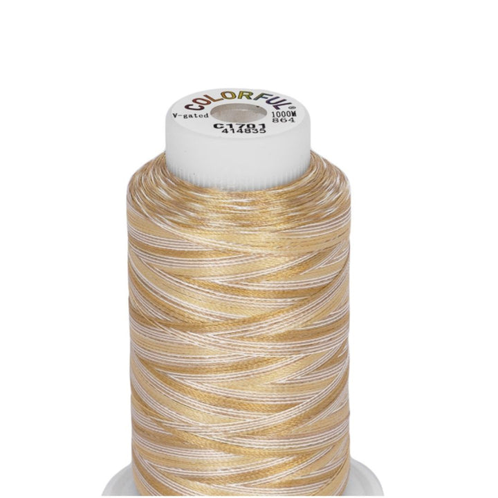 Embroidery Threads - Colorful Variegated - 1000m