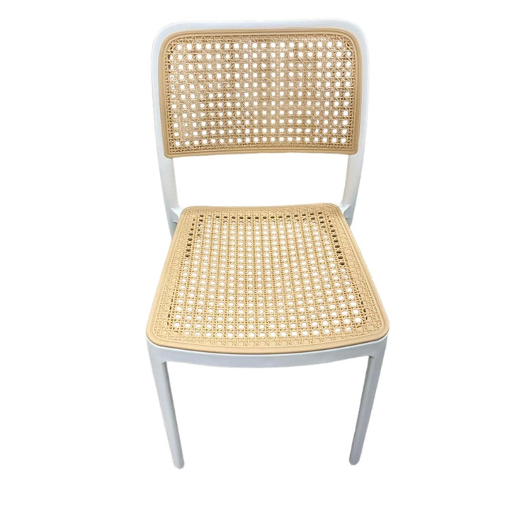 Nordic Wicker - Resin Adult Chairs