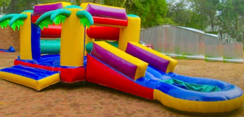 Jumping Castle - Palm with Slide + Pond