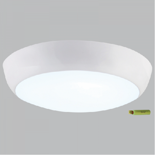 Ceiling Light - CF132 Emergency