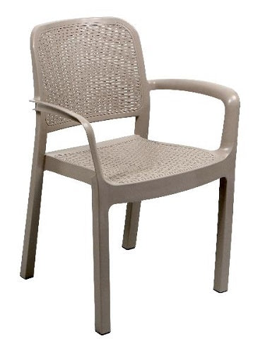 Protea Arm Cafe Chair