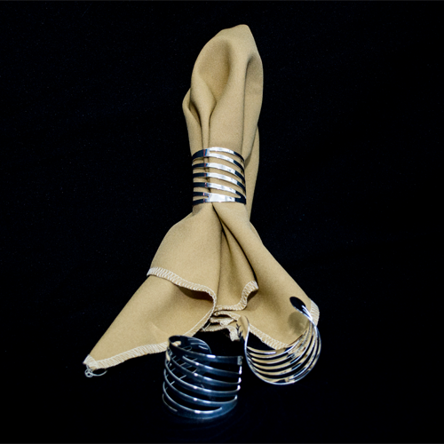 Napkin Ring -  Spiral 1