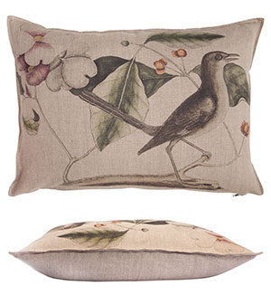 Scatter Cushions - Magnolia