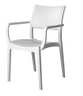 Verona Arm Chair - Solid Cafe Chair