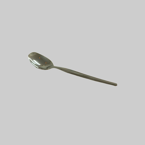 Serving Spoon Long Handle